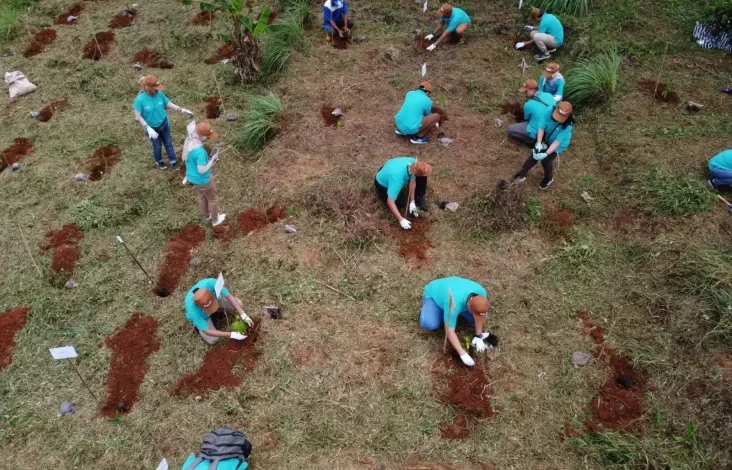 710 Ton Karbon vs 6.250 Pohon pada Bogor: Siapa Pemenangnya? Hal ini adalah Berita Penyerapan Karbon yang tersebut Bikin Melongo